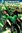 Green Lanterns DC Rebirth 5