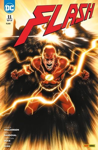 Flash DC Rebirth 11