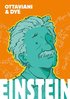 Einstein - die Graphic Novel