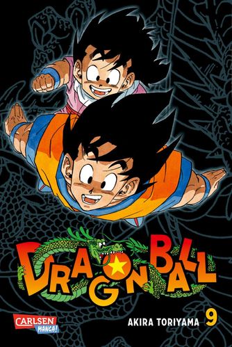 Dragon Ball Massiv - Manga 9