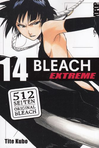 Bleach Extreme - Manga 14