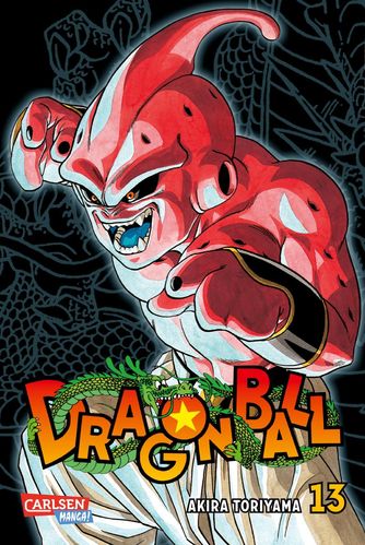 Dragon Ball Massiv - Manga 13