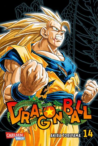 Dragon Ball Massiv - Manga 14