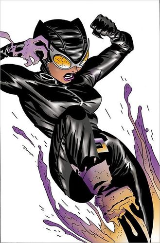 Catwoman von Ed Brubaker HC 1