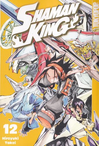 Shaman King - Manga 12