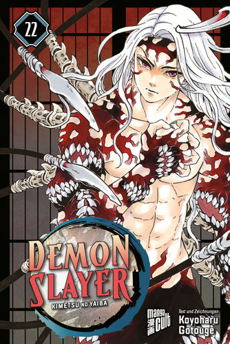 Demon Slayer - Manga 22